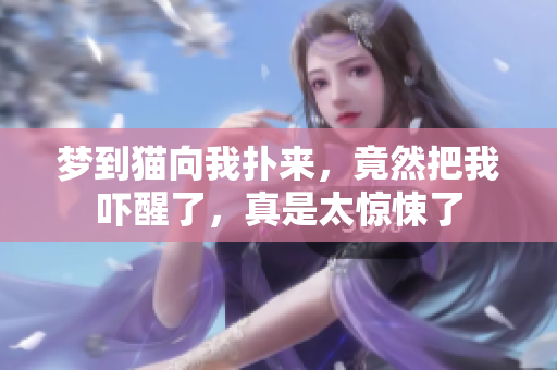 梦到猫向我扑来，竟然把我吓醒了，真是太惊悚了