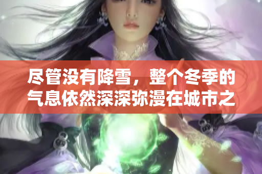 尽管没有降雪，整个冬季的气息依然深深弥漫在城市之中