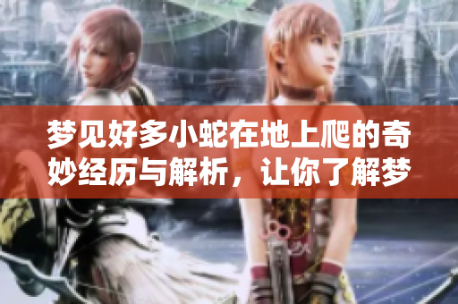 梦见好多小蛇在地上爬的奇妙经历与解析，让你了解梦境背后的含义