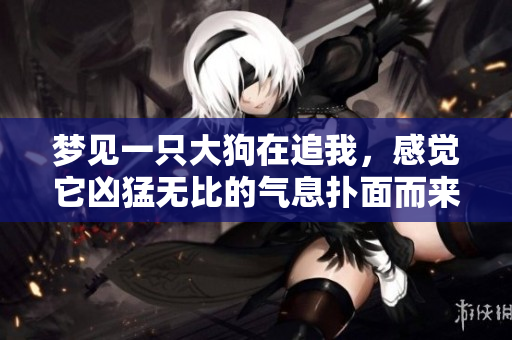 梦见一只大狗在追我，感觉它凶猛无比的气息扑面而来