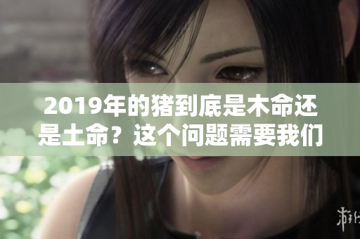 2019年的猪到底是木命还是土命？这个问题需要我们深入探讨一下。